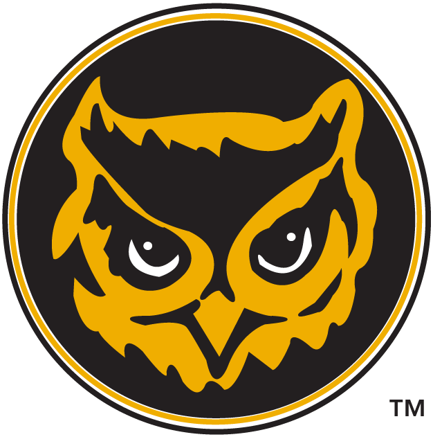 Kennesaw State Owls 1992-2011 Alternate Logo t shirts iron on transfers